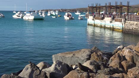 Establishing-shot-of-Puerto-Baquerizo-Moreno-harbor-the-capital-city-of-the-Galapagos-Islands-Ecuador