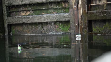 Rubbish-can-and-beer-bottle-floating-in-the-water-of-a-canal-in-London-city,-next-to-a-lock,-polluted-water-with-littering