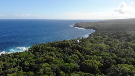 Remote-jungle-and-pacific-ocean-view-in-the-late-afternoon-on-a-sunny-day