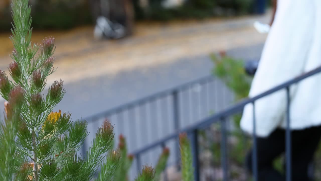 Yeşillik ve patika kenarında merdivenlerden inen kadın