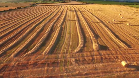 Imágenes-De-Drones-De-Campos-Dorados