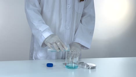demostrando la reacción química entre el sulfato de cobre y el hierro