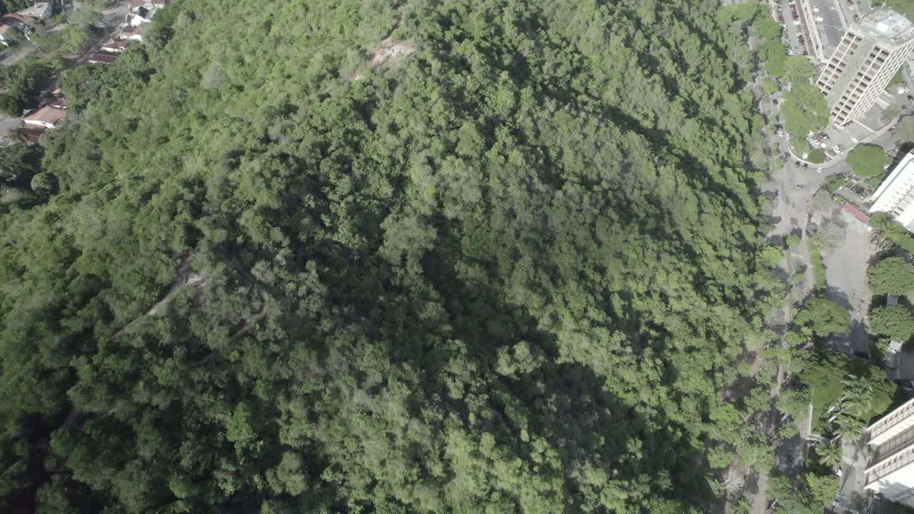 Aerial View of Mountain with Vegetation and City Buildings
