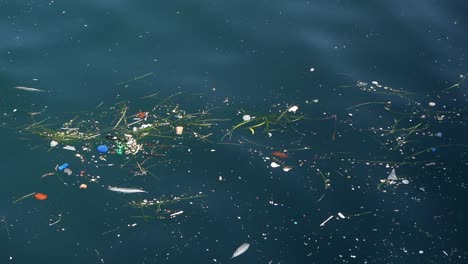 contaminación de los océanos: desechos plásticos y basura