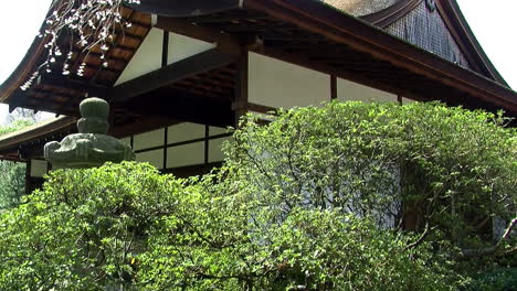 la cámara se eleva desde la vista del camino de piedra hasta la casa japonesa y las ramas de cerezo cargadas de flores