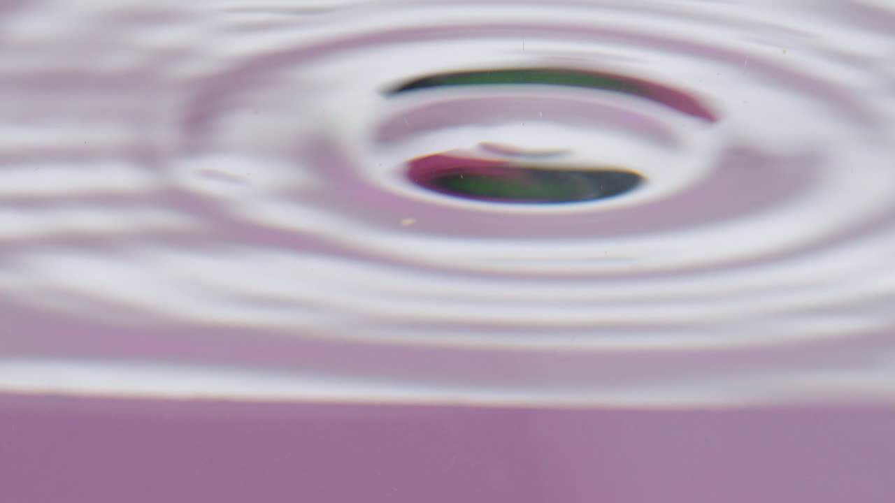 anémonas púrpuras y ondas de agua