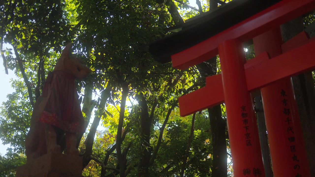 Statua della volpe Inari e cancello torii rosso alla luce del sole in un santuario giapponese. Scena in controluce con alberi e atmosfera spirituale tradizionale.