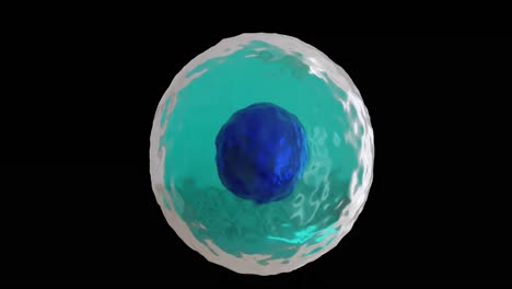 animation of micro of blue and turquoise cell on black background