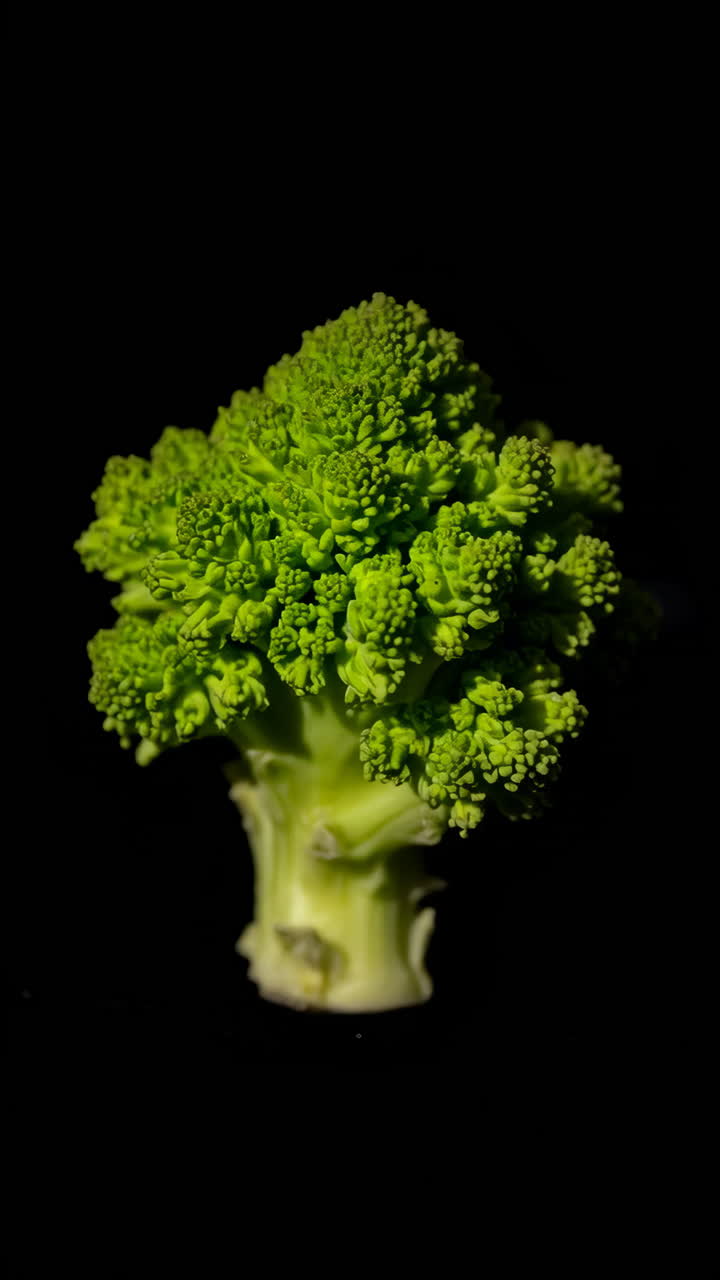Romanesco Broccoli on Black Background