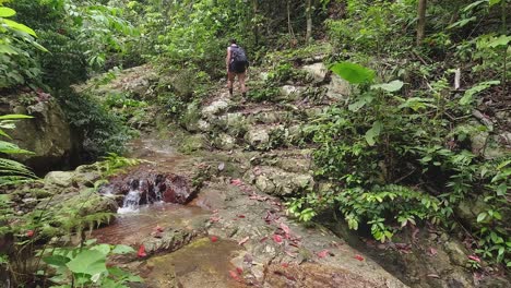 Woman-hikes-up-dense,-green-jungle-path-beside-small-forest-creek