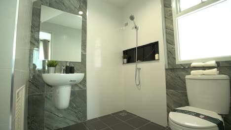 Newly-Renovated-Bathroom-Interior-Design,-Nobody