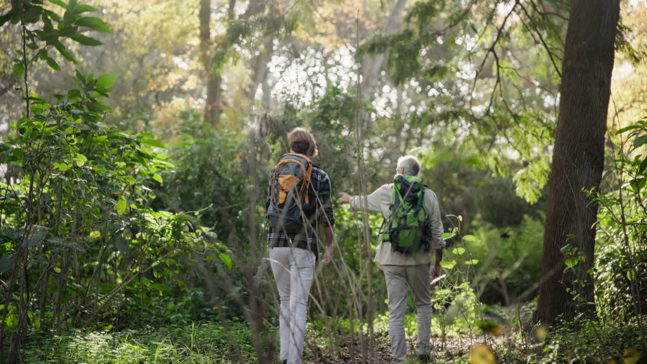 People hiking in a forest with backpacks