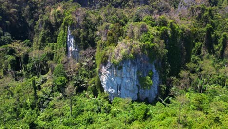 naturaleza intacta tierra inaccesible naturaleza selva montañas