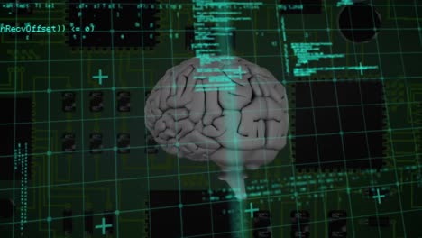 animazione dell'elaborazione dei dati e del cervello sulla scheda di calcolo