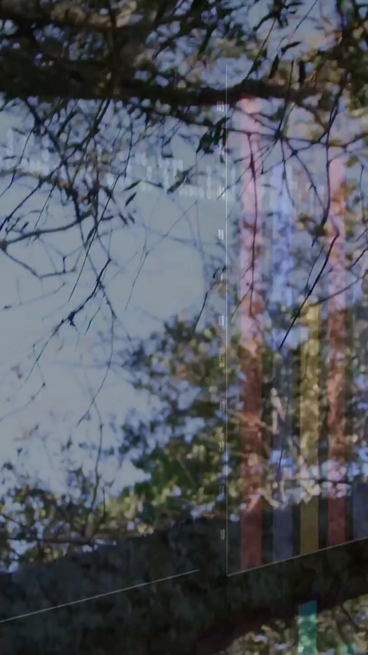 Vertical video: Camera shifting branches holding frame while tech bands drifting showing lake ridge