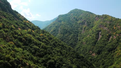 mountain hills covered with trees on a sunny day