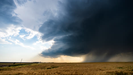 dramatic storm over wheat field