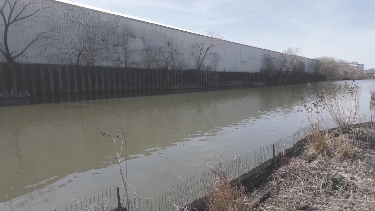 A slow motion shot of the Chicago River surrounded by buildings, trees, and plants in winter.