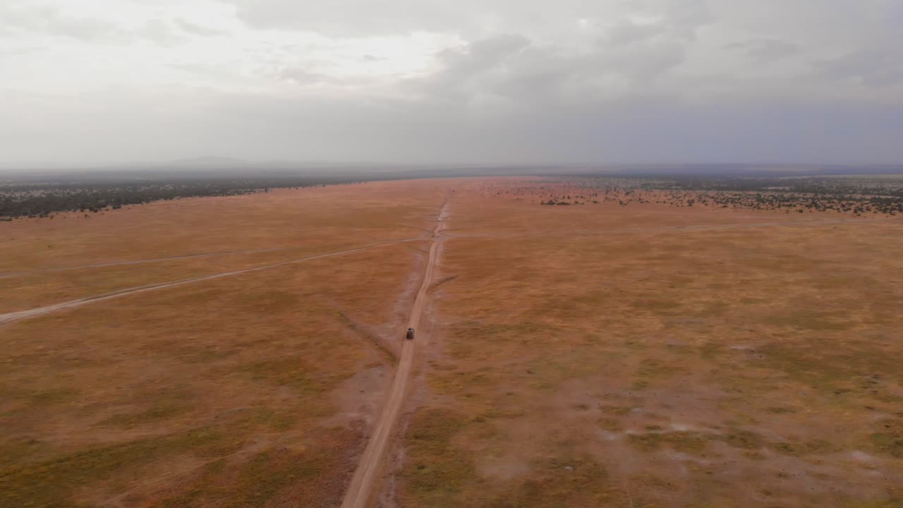 un juego de conducción-safari a través de ol pejeta, kenia
