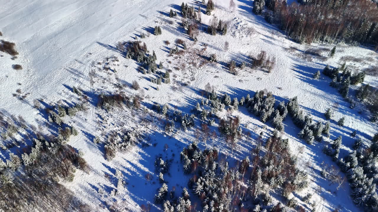 Winter drone view of a snow-covered pine forest and meadow