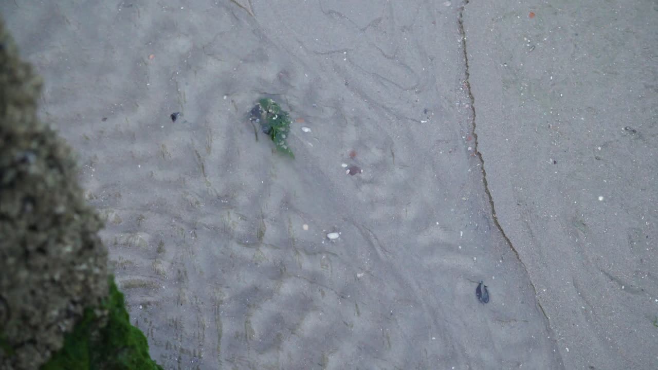 Seawater moving slowly through beach sand in 4K, UHD, Zeeland, Netherlands.