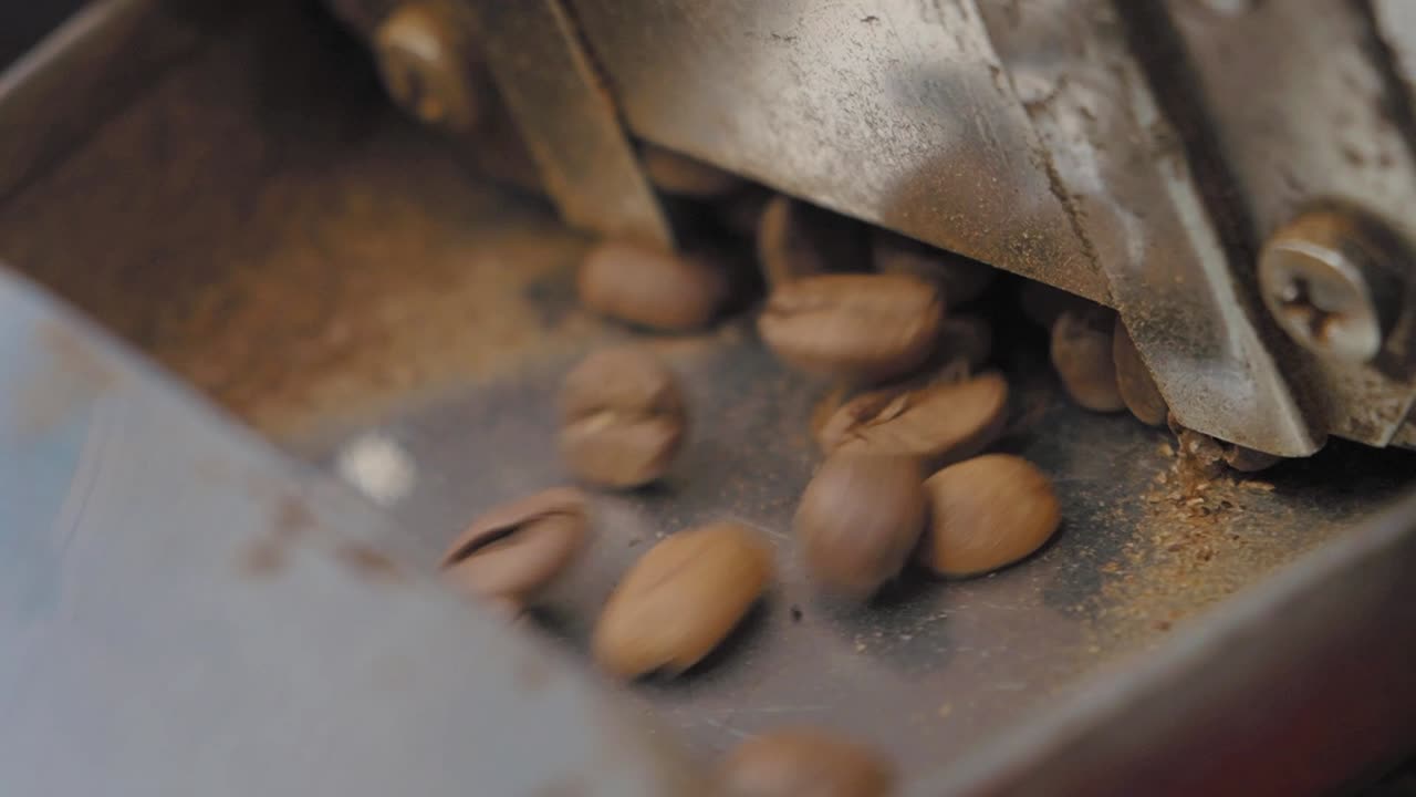 Coffee Bean Processing Machine