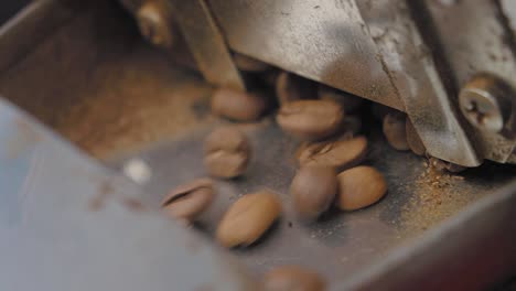 máquina de procesamiento de granos de café