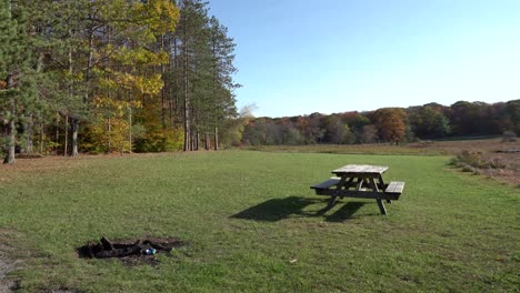 un día ventoso de otoño en una zona de picnic abierta con un bosque al lado