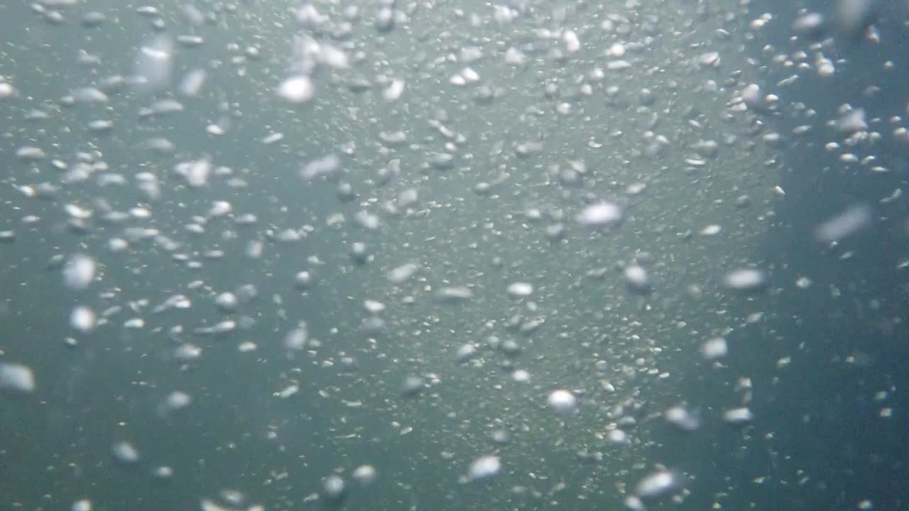 거품 순환의 고해상도로 수중 녹화