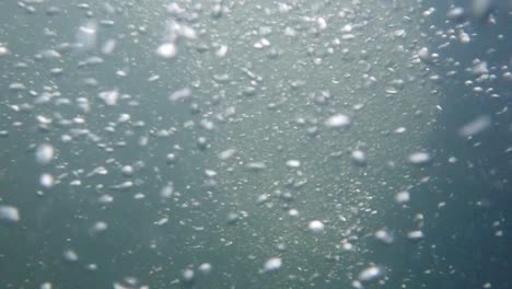 underwater recording at high resolution of the bubbles circulation