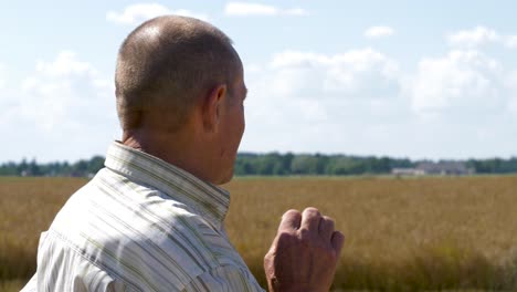 farmer smoking in the grain fields, resting