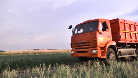 camión de descarga naranja en un campo