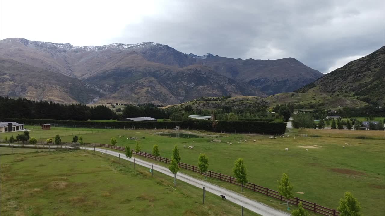 drone farmland dog running through the path of countryside