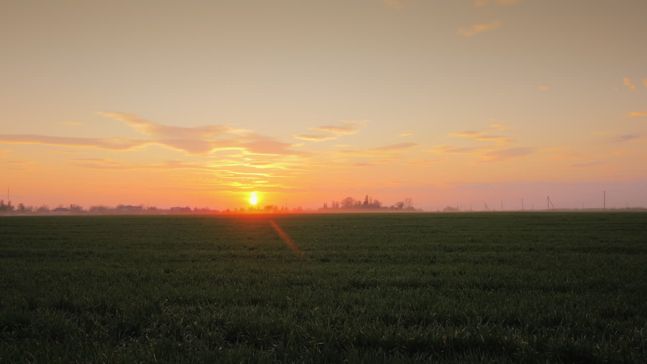 una joven agricultora camina por un campo de trigo con una tableta vista trasera