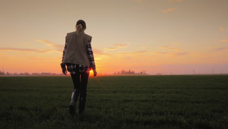 a young woman farmer walks along a wheat field carrying a tablet rear view