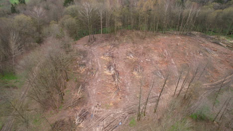 section of a remote forested area clear-cut, leaving behind a barren landscape with stumps and logs scattered throughout