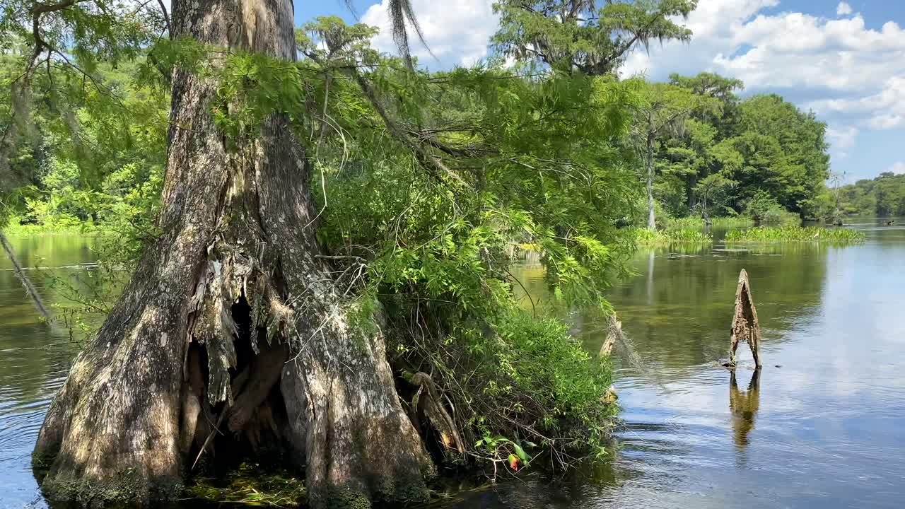 밝은 여름 날 플로리다의 탈라하시에 있는 와쿨라 스프링스 주립 공원에서 강에서 보트 타기를 즐기고 있습니다.