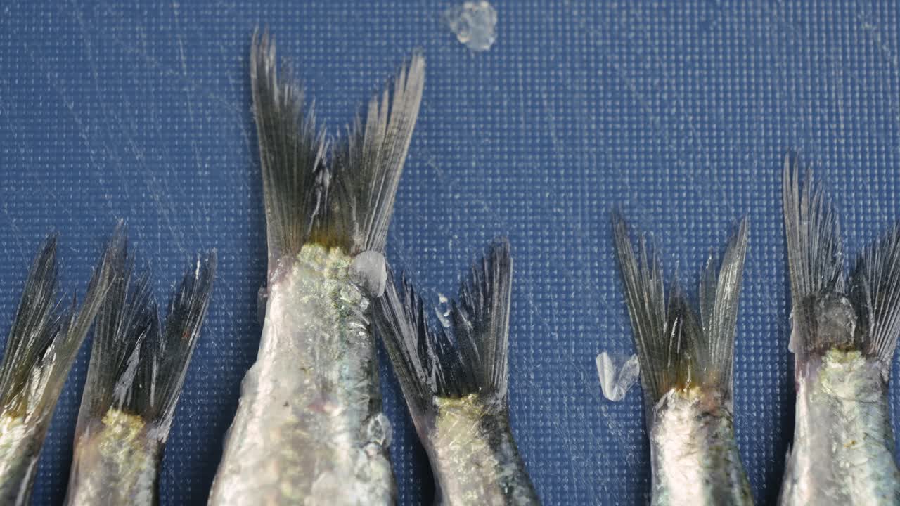 Fresh Fish Tails on a Blue Surface