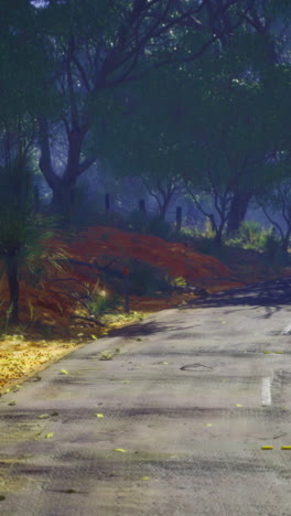 mysterious winding road through a dense forest during the golden hour light