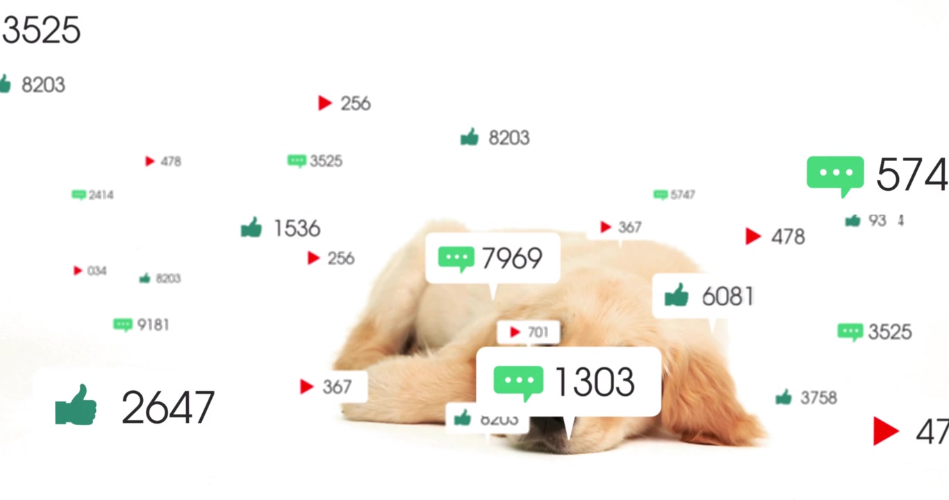 All'inizio, una bolla di commento appare sopra un cucciolo di golden retriever, facendo apparire icone di gioco fluttuanti.