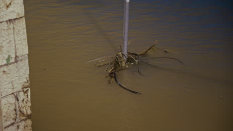 debris tangled around a metal pole submerged in muddy water during the budapest flood of 2024
