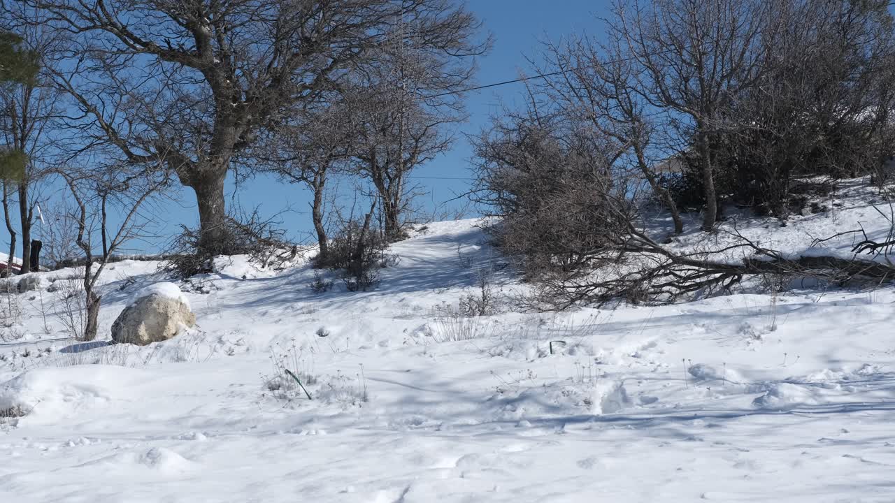 눈 속에서 스키를 타는 청년