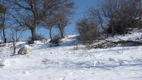 joven esquiando en la nieve