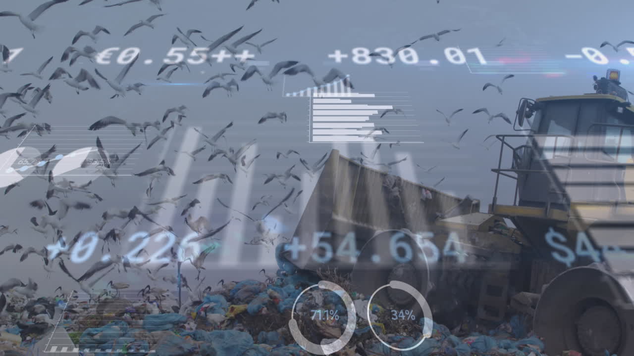 쓰레기 처리장에서 불도저를 타고 통계 기록의 애니메이션