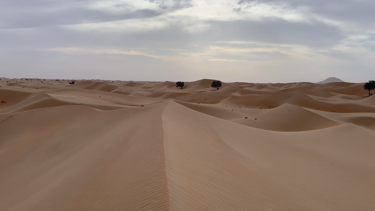 inclinarse hacia abajo a la cresta de la cordillera de la duna de arena del desierto dorado con ondas de viento