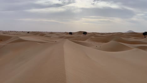 Tilt-down-to-crest-ridge-of-golden-desert-sand-dune-with-wind-ripples