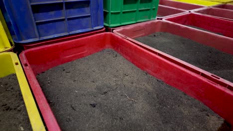 colorful plastic bins filled with soil