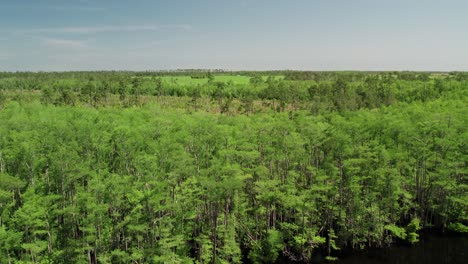 fotografía aérea que muestra un vasto y denso bosque y tierras de cultivo que bordean un río en el norte de florida.
