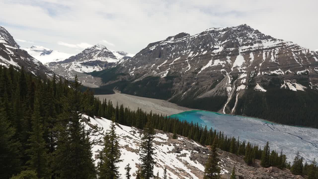 Banff Milli Parkı'nda, dağlar, orman ve kar arasında canlı turkuaz buzul suyunu gösteren Peyto Gölü.