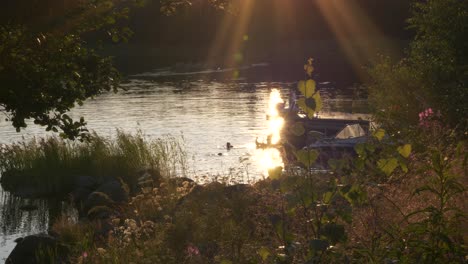 Children-swimming-and-playing-in-lake-water-and-enjoying-lazy-summer-evenings,-golden-hour-sunset-in-idyllic-Nordic-archipelago